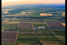 Luftbild von Bauers Garten in Winden im Bundesland Rheinland-Pfalz, Deutschland