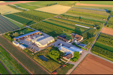 Bauers Garten in Winden im Bundesland Rheinland-Pfalz, Deutschland vom Flugzeug aus