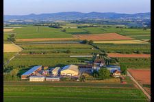 Drohnenaufname von Bauers Garten in Winden im Bundesland Rheinland-Pfalz, Deutschland