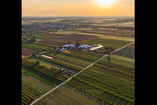 Bauers Garten in Winden im Bundesland Rheinland-Pfalz, Deutschland von einer Drohne aus