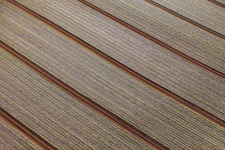 Felder mit Salatsetzlingen in Minfeld im Bundesland Rheinland-Pfalz, Deutschland