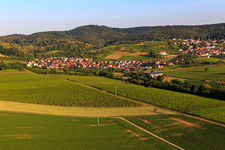 Weinort von Osten im Ortsteil Gleishorbach in Gleiszellen-Gleishorbach im Bundesland Rheinland-Pfalz, Deutschland
