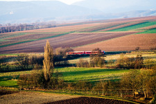Regionalbahn im Ortsteil Drusweiler in Oberhausen im Bundesland Rheinland-Pfalz, Deutschland