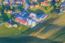 Schwarzwaldbriketts best:Pellets und Rund um Kaffee Rainer Scheck GmbH & Co. KG im Ortsteil Weiler in Königsfeld im Schwarzwald im Bundesland Baden-Württemberg, Deutschland