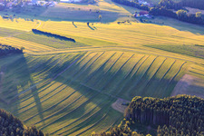 Luftaufnahme von Gemähte Matten (Wiesen) im Schwarzwald am Abend in Niedereschach im Bundesland Baden-Württemberg, Deutschland