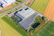 Blumen Längle in Dunningen im Bundesland Baden-Württemberg, Deutschland