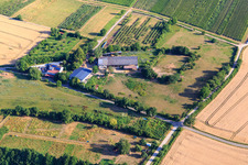 HEIDEBRUNNENHOF Vollblutaraberzucht und Islandpferde in Oberotterbach im Bundesland Rheinland-Pfalz, Deutschland