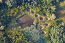 Naturschutzgebiet Réserve biologique dirigée de Lauterbourg im Bundesland Bas-Rhin, Frankreich
