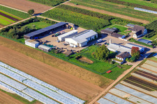 Bauers Garten in Winden im Bundesland Rheinland-Pfalz, Deutschland vom Flugzeug aus
