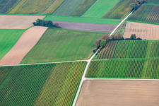 Felder und Weinberge im Tiefen Tal im Ortsteil Mühlhofen in Billigheim-Ingenheim im Bundesland Rheinland-Pfalz, Deutschland