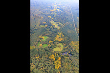 Lautertal im Bienwald an der deutsch-französichen Grenze in Schweighofen im Bundesland Rheinland-Pfalz, Deutschland