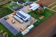 Bauers Garten in Winden im Bundesland Rheinland-Pfalz, Deutschland aus der Luft betrachtet