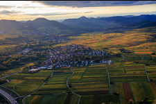 Ortsansicht im Rebenmeer von Osten im Herbst am Abend im Ortsteil Godramstein in Landau in der Pfalz im Bundesland Rheinland-Pfalz, Deutschland