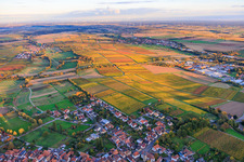 Herbstlich gerfärbte Weinberge zwischen Niederhorbach und Kappellen-Drusweiler im Bundesland Rheinland-Pfalz, Deutschland