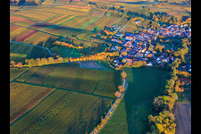 Allee im Herbstlaub in Dierbach im Bundesland Rheinland-Pfalz, Deutschland