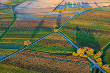 Herbstlich gerfärbte Weinberge am Abend zwischen Dierbach und Barbelroth im Bundesland Rheinland-Pfalz, Deutschland