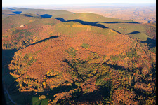 Herbstlicher Wald unterm Ohrensfels in Frankweiler im Bundesland Rheinland-Pfalz, Deutschland