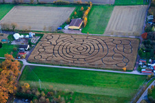 Silo 9 Maislabyrinth Seehof in Steinweiler im Bundesland Rheinland-Pfalz, Deutschland