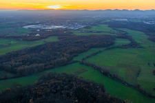 Naturschutzgebiet Queichniederung am Abend in Ottersheim bei Landau im Bundesland Rheinland-Pfalz, Deutschland
