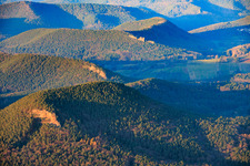Sandsteinkletterfelsen Kieungerfels, Rötzenfels und Dimbergpfeiler im Pfälzerwald im Ortsteil Gossersweiler in Gossersweiler-Stein im Bundesland Rheinland-Pfalz, Deutschland