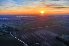 Bodennebel am Viehstrich bei Sonnenuntergang in Freckenfeld im Bundesland Rheinland-Pfalz, Deutschland
