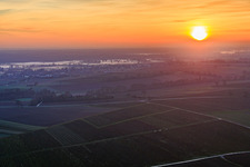 Luftbild von Bodennebel am Viehstrich bei Sonnenuntergang in Freckenfeld im Bundesland Rheinland-Pfalz, Deutschland