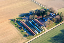 In den Kieseläckern in Wörth am Rhein im Bundesland Rheinland-Pfalz, Deutschland