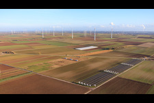 Hühnermobil für Freilandeier der 24h Eierautomaten des Buschhof in Offenbach an der Queich im Bundesland Rheinland-Pfalz, Deutschland