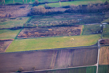 Billigheimer Bruch im Ortsteil Mühlhofen in Billigheim-Ingenheim im Bundesland Rheinland-Pfalz, Deutschland