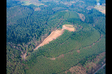 Erdarbeiten im Wald an der Keeseckhütte in Vorderweidenthal im Bundesland Rheinland-Pfalz, Deutschland