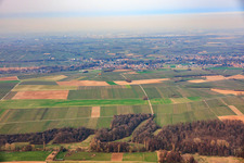 Tiefental aus Süden im Ortsteil Ingenheim in Billigheim-Ingenheim im Bundesland Rheinland-Pfalz, Deutschland