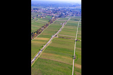 Mandelmeile von Südwesten (Villastraße) in Edenkoben im Bundesland Rheinland-Pfalz, Deutschland