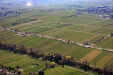 Mandelmeile von Norden (Villastraße) in Edenkoben im Bundesland Rheinland-Pfalz, Deutschland