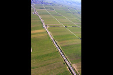 Mandelmeile von Südwesten (Villastraße) in Edenkoben im Bundesland Rheinland-Pfalz, Deutschland