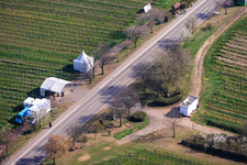 Mandelmeile von Südwesten (Villastraße) in Edenkoben im Bundesland Rheinland-Pfalz, Deutschland