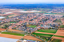 Böhl von Norden in Böhl-Iggelheim im Bundesland Rheinland-Pfalz, Deutschland