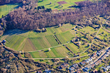 Weinberge der Lagen Dietlinger Klepberg und Ellmendinger Keulebuckel im Ortsteil Dietlingen in Keltern im Bundesland Baden-Württemberg, Deutschland