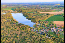 Etang des marais im Wald in Rémering-lès-Puttelange im Bundesland Moselle, Frankreich