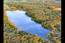Etang des marais im Wald in Rémering-lès-Puttelange im Bundesland Moselle, Frankreich
