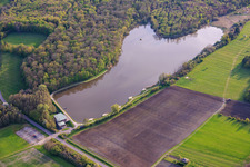 Fischteich Étang de Metzing und Salle Polyvalente L'Ecrin de Metzing am Waldrand im Bundesland Moselle, Frankreich
