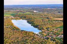 Etang des marais im Wald in Rémering-lès-Puttelange im Bundesland Moselle, Frankreich