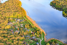 Anglerstege im Schilf am Ufer des Etang des marais im Wald in Rémering-lès-Puttelange im Bundesland Moselle, Frankreich
