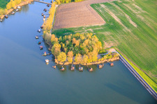 Stege mit Anglerhütten umsäumen das Ufer des Sees Etang du Welschhof in Puttelange-aux-Lacs im Bundesland Moselle, Frankreich