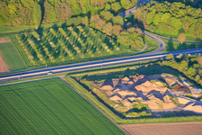 Baumschule an der Ausfahrt Rohrbach der A65 im Bundesland Rheinland-Pfalz, Deutschland