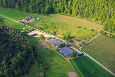 Reitstall CBS-Pferdesport Sulzthal im Bundesland Bayern, Deutschland