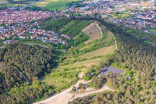 Weinberge von terroir f Hammelburg - Weinbau in Franken im Bundesland Bayern, Deutschland
