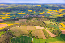 Weinberge von Müller! Das Weingut und Weintenne in Hammelburg im Bundesland Bayern, Deutschland