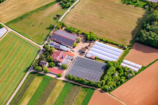 Hof Gut Ruppertzaint naturgemäße Landwirtschaft GmbH & Co. KG im Ortsteil Gänheim in Arnstein im Bundesland Bayern, Deutschland