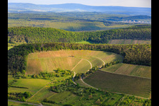 Weinberge zwischen Tal und Wald aus Süden in Ramsthal im Bundesland Bayern, Deutschland