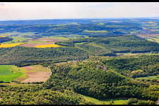 Naturschutzgebiet „Ruine Homburg“ und Burgruine Homburg bei Gössenheim im Bundesland Bayern, Deutschland